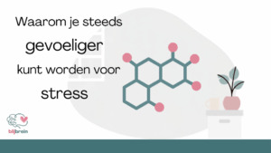Waarom je steeds gevoeliger kunt worden voor stress